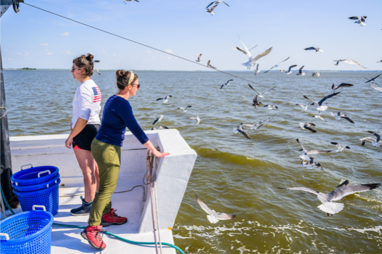 marine science excursion