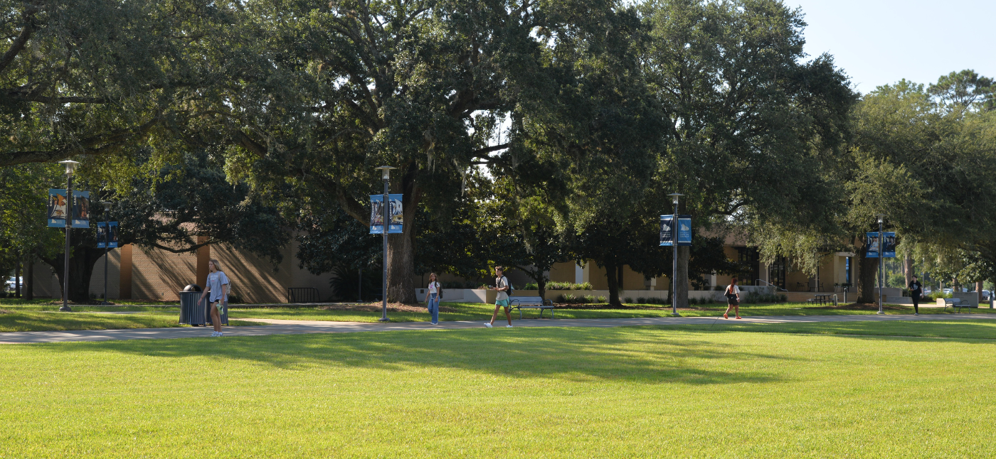 Alumni Strategic Plan