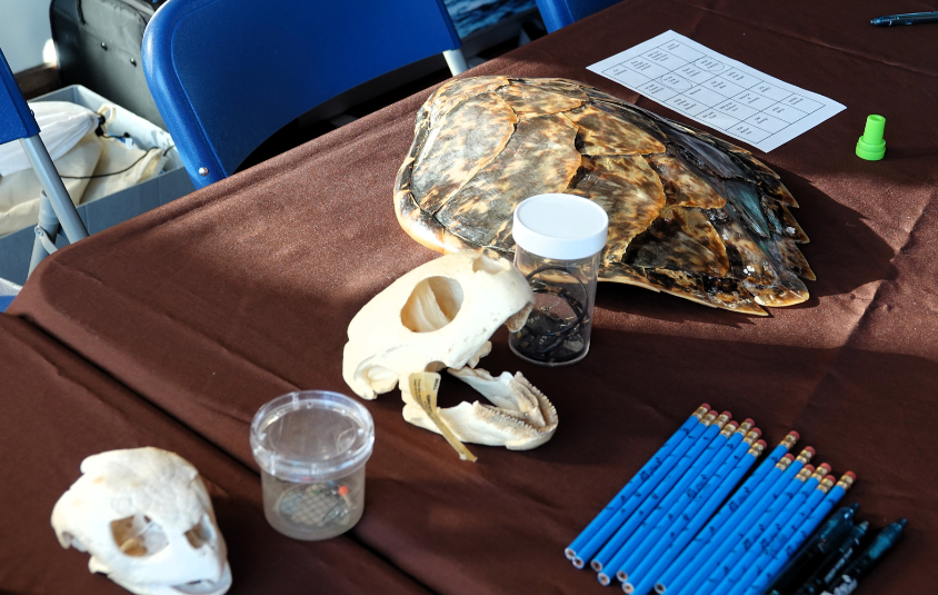 Coastal Science Symposium 2024-2