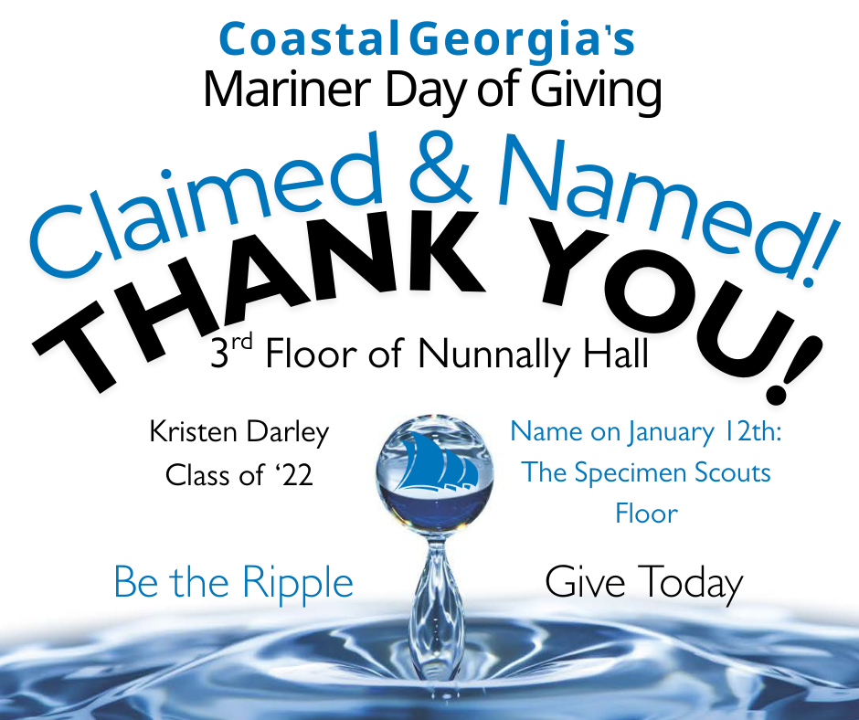 Giving Tuesday, Kristen Darley