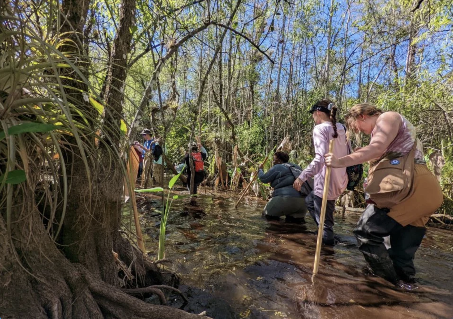 Trip to Everglades Brings Students into World of Wetland Restoration