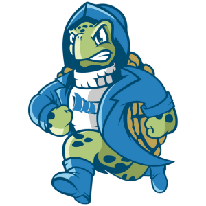 Salty the Turtle-COMPASS