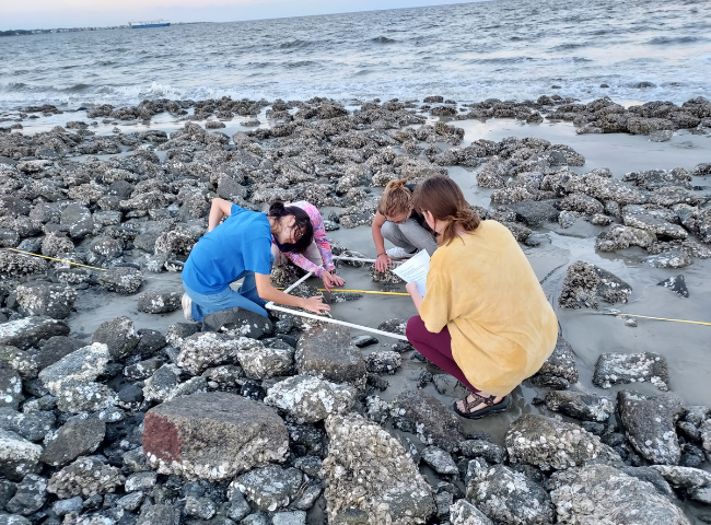 Environmental Science Certificate