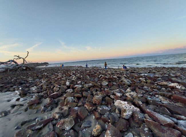 Environmental Science Certificate