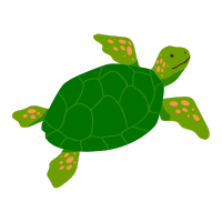 Sea Turtle