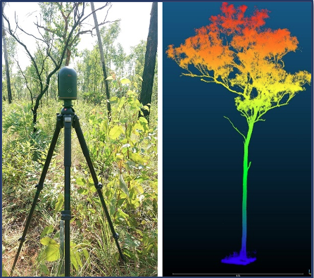 Terrestrial Lidar