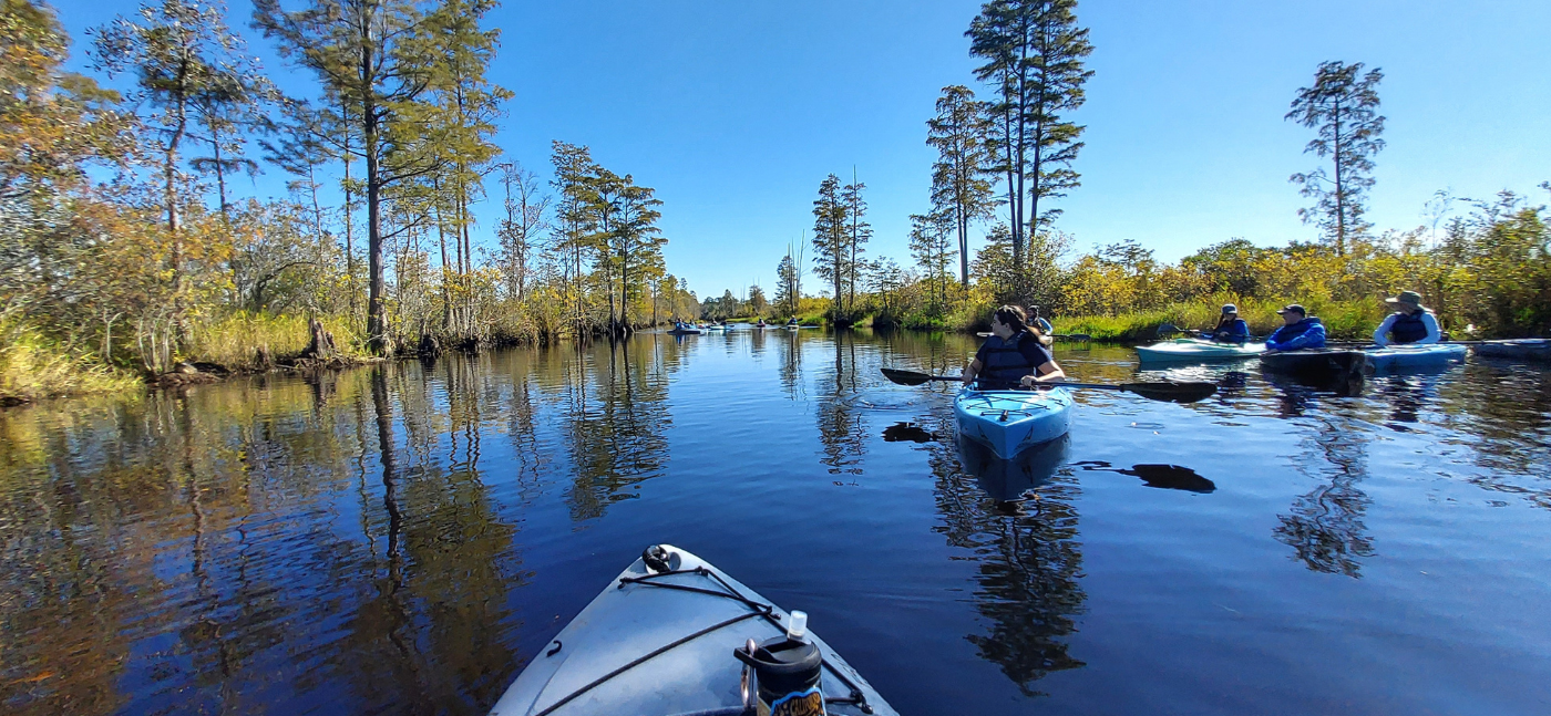 canoeing in okefenokee swamp