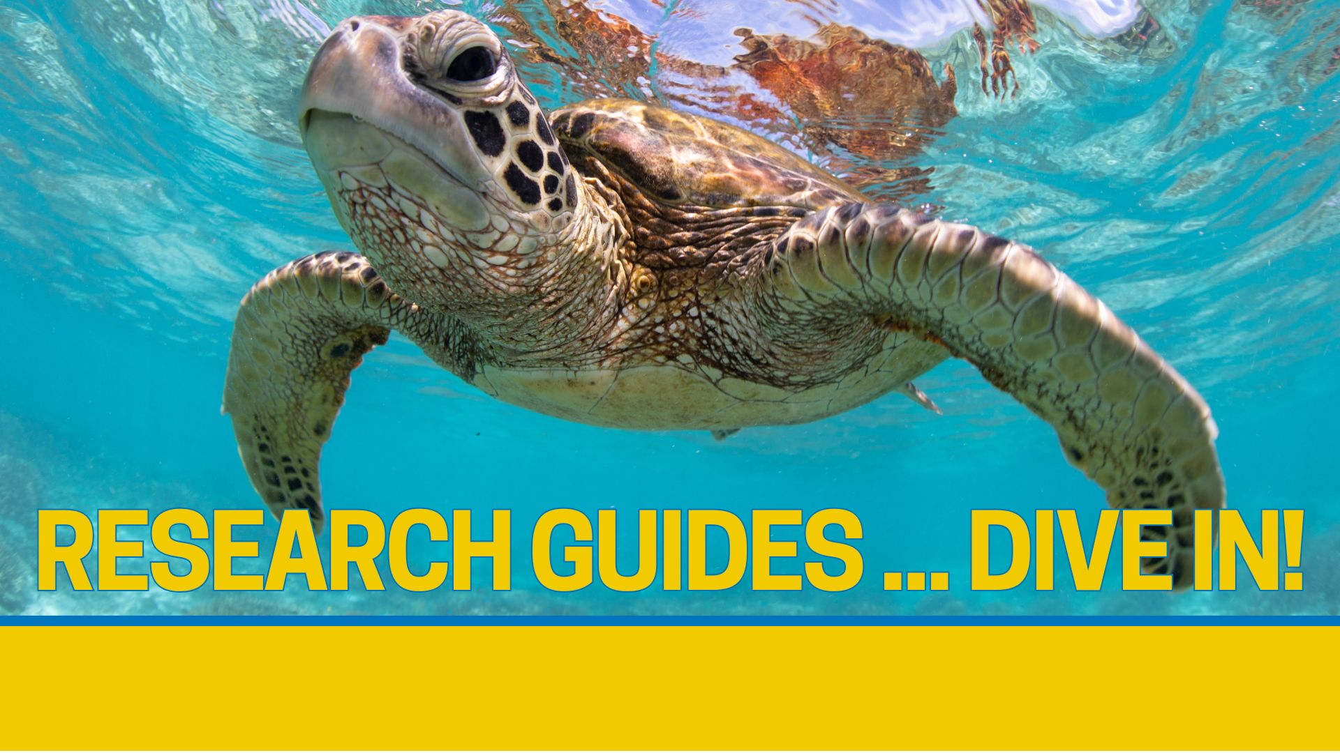 Research Guides