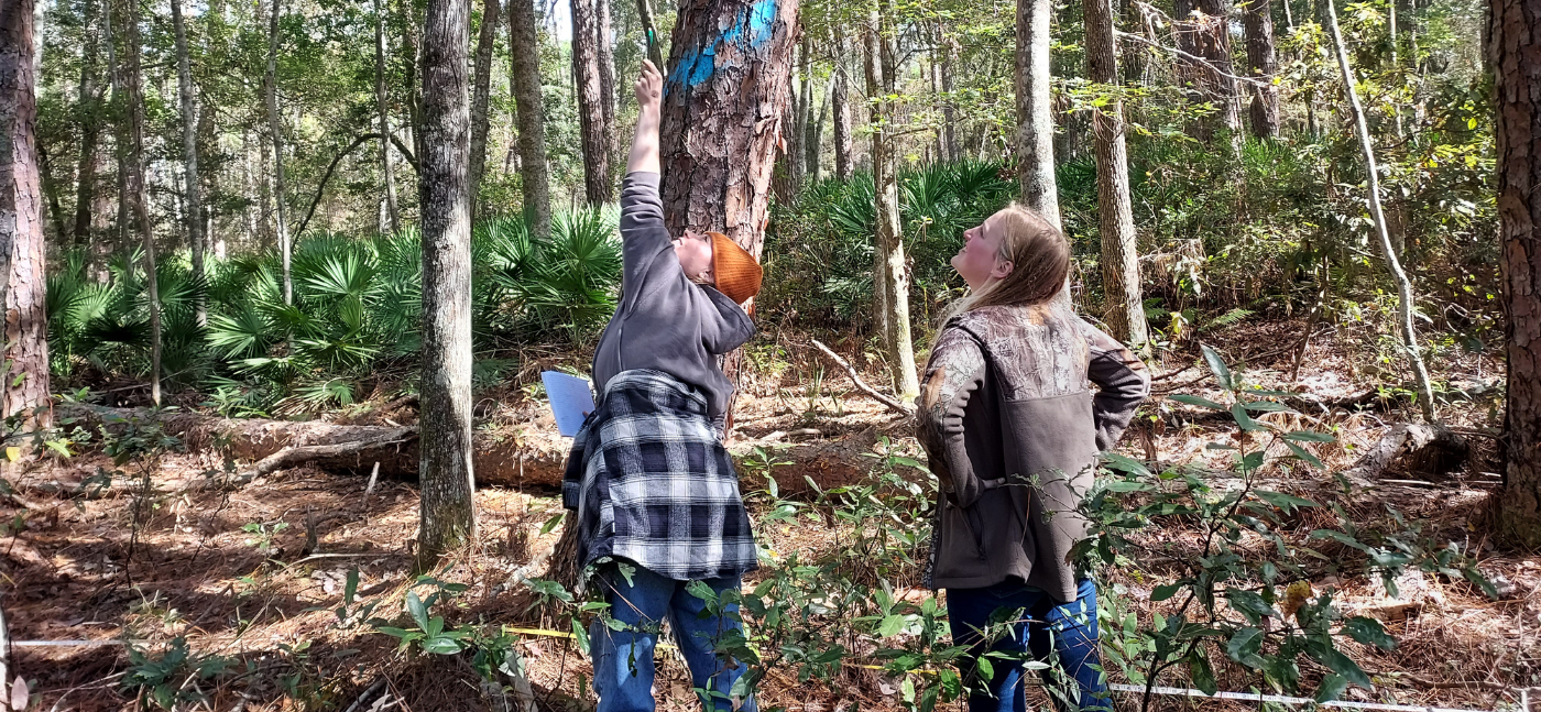 wetlands ecology concentration at coastal georgia